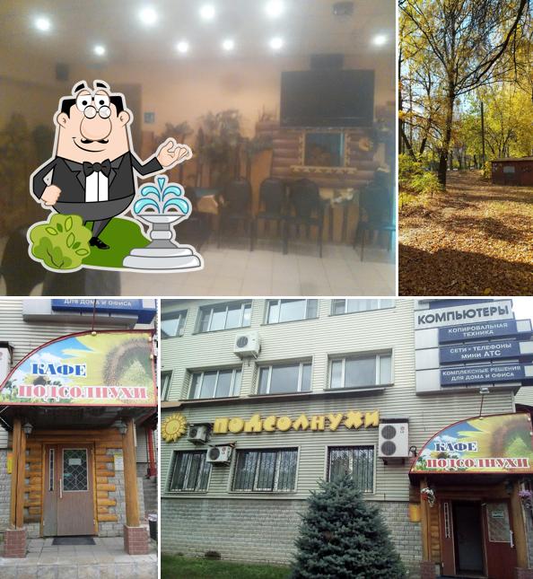 Подсолнухи