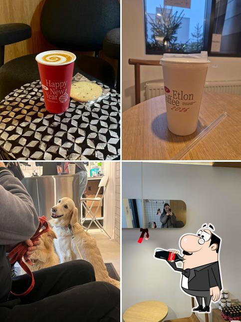 Etlon Coffee
