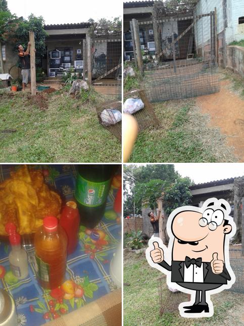 Cia do Dog