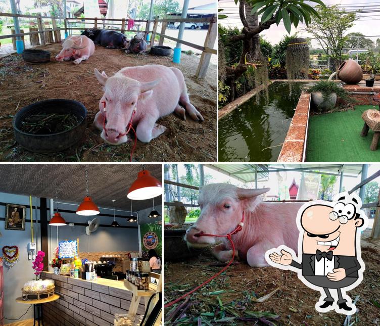 Baan Kwai Krae Cafe