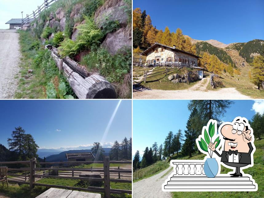 Laugenalm