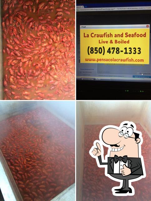 Louisiana Crawfish & Seafood