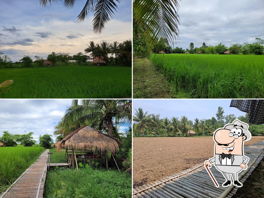 สุขใจแลนด์