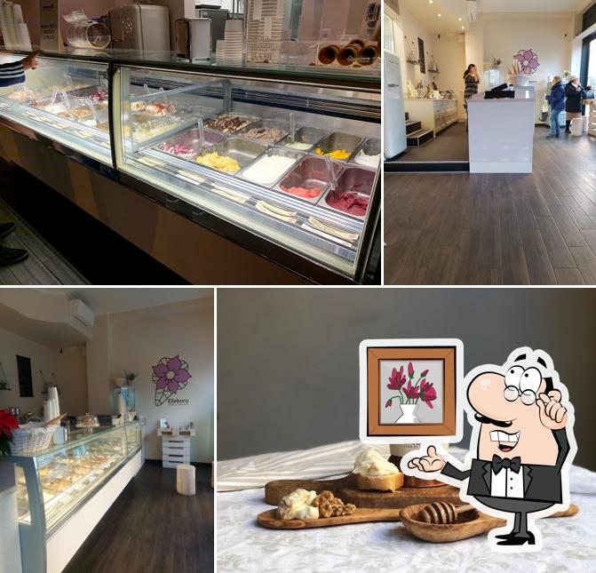 Elleboro Fior Di Gelato