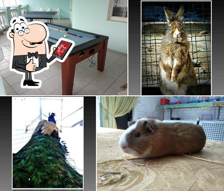 Парус