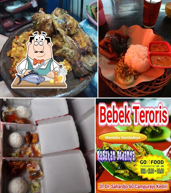 Bebek Teroris Kediri