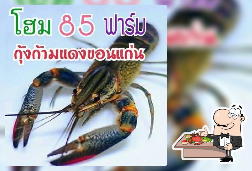 กุ้งก้ามแดงขอนแก่น โฮม85ฟาร์ม