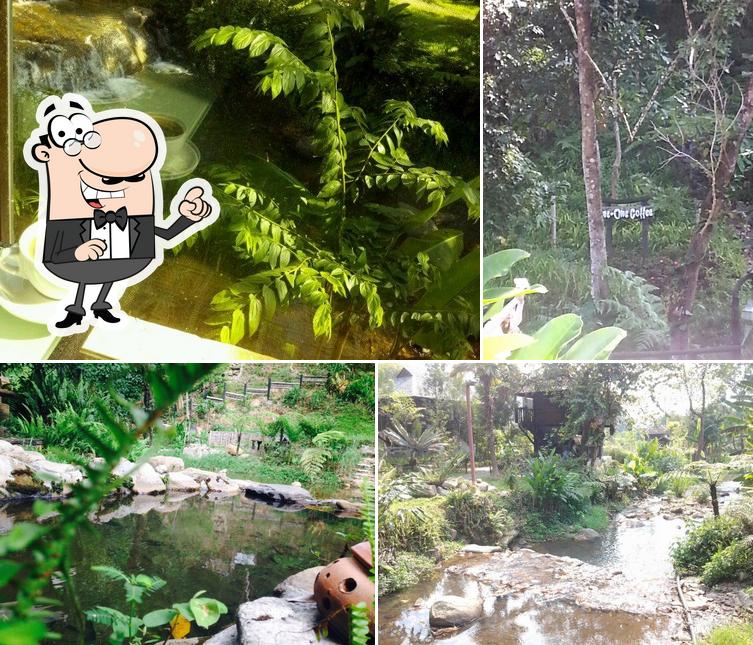 ริมธารบ้านเมี่ยง