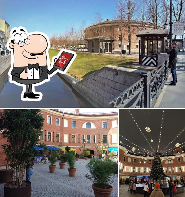 Внешнее оформление "Дзамико"