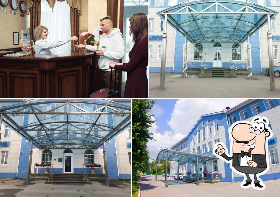 Велнесс