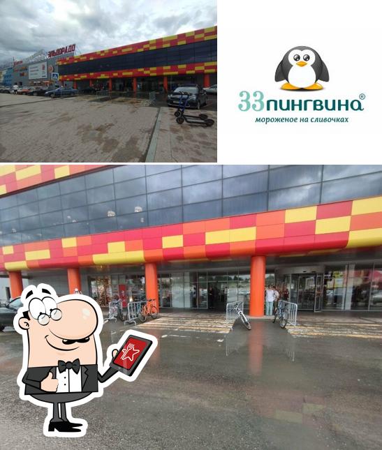 33 Пингвина
