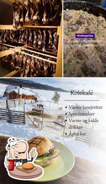 Koia, Rorosrein AS