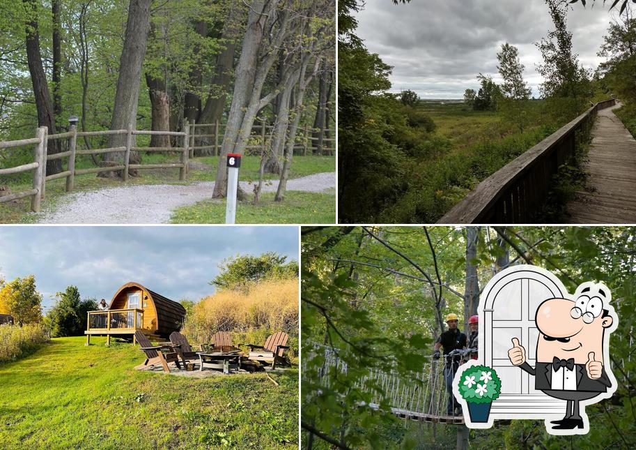 Marshview Patio & Bar at Long Point Eco-Adventures
