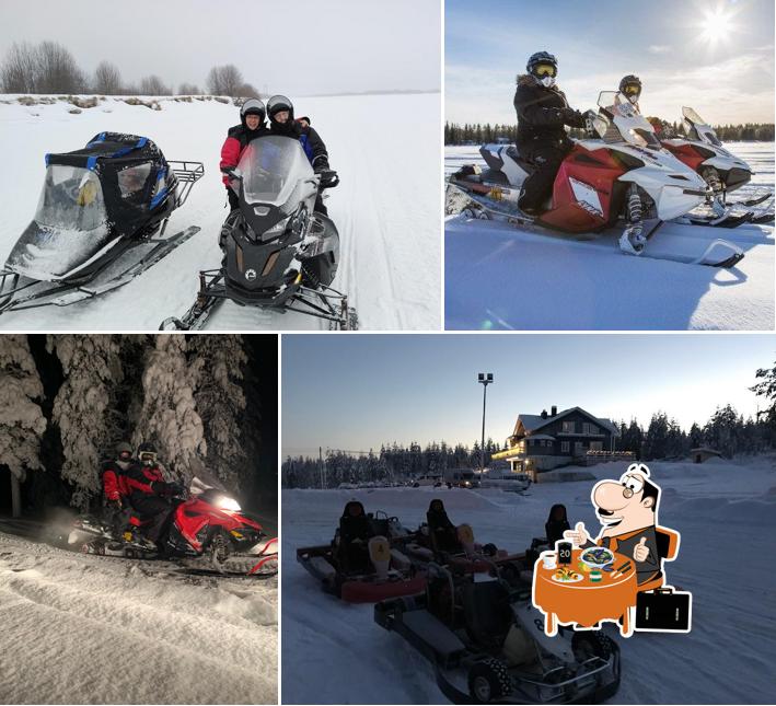 Arctic Lifestyle Safaris