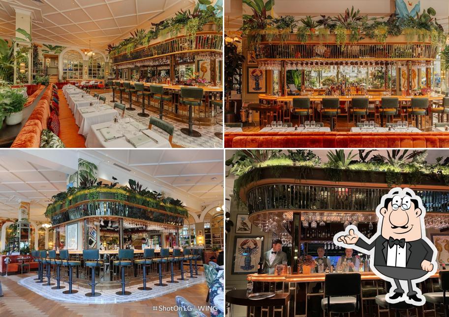 The Ivy Belfast Brasserie
