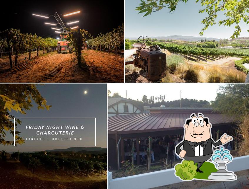 Leoness Cellars