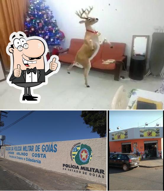 Panificadora Pão De Ouro