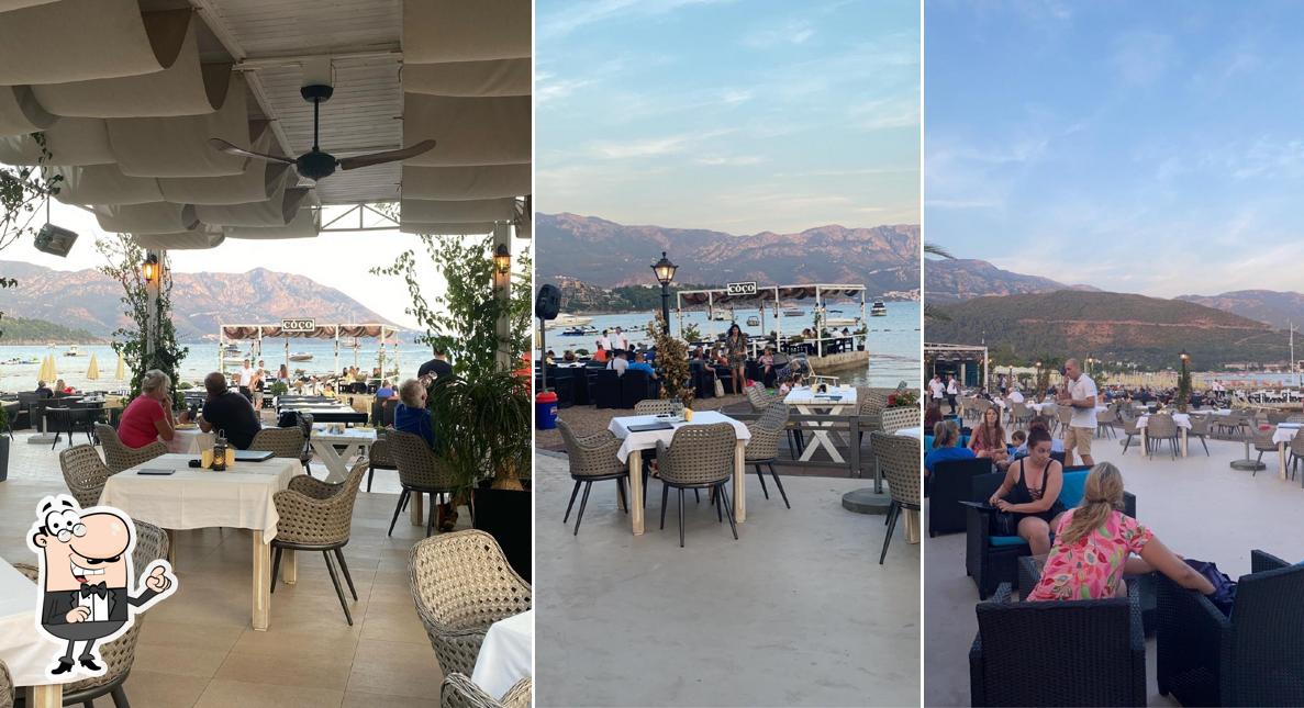 Coco Budva