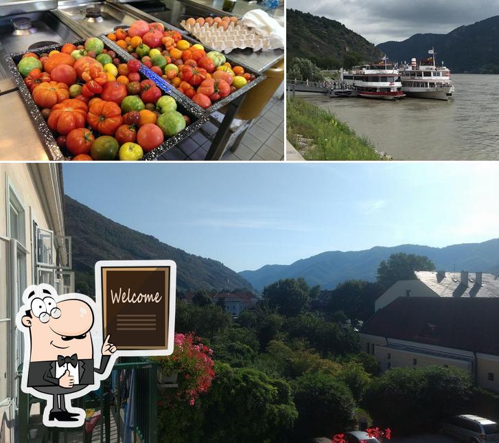 Restaurant Wachauerhof