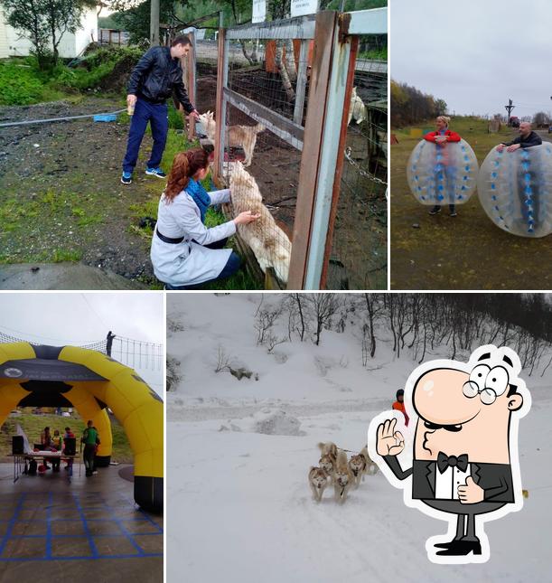 Бочонок