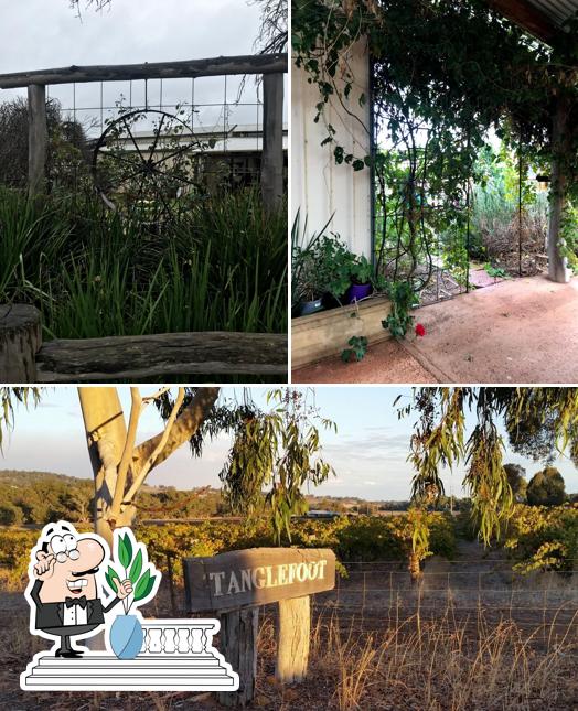 Tanglefoot Winery & Cafe