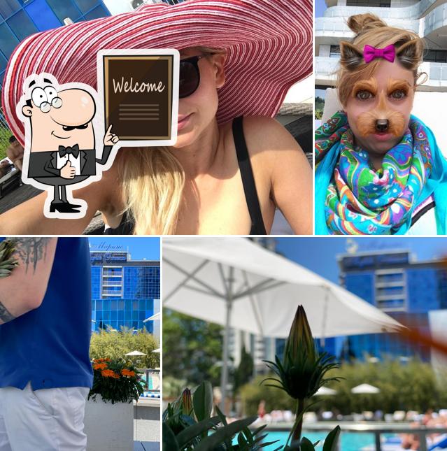 Pool Bar Hyatt