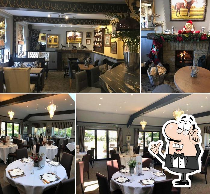 The Grumpy Mole Epsom