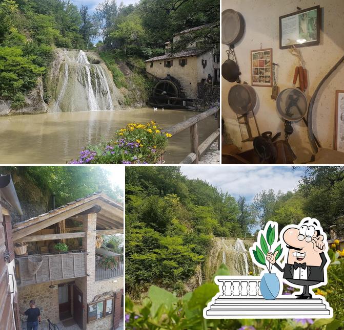 Da Ciotta Antica Trattoria