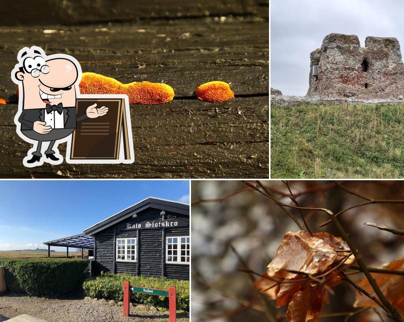 Kalø Slotscafé