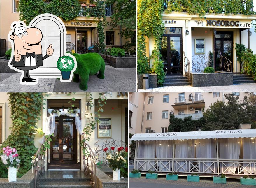 Носорог