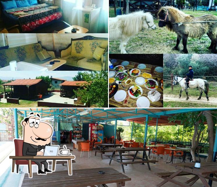 Ceylan Pinari Restaurant