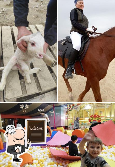 Здесь можно посмотреть изображение ресторана "Ватан"