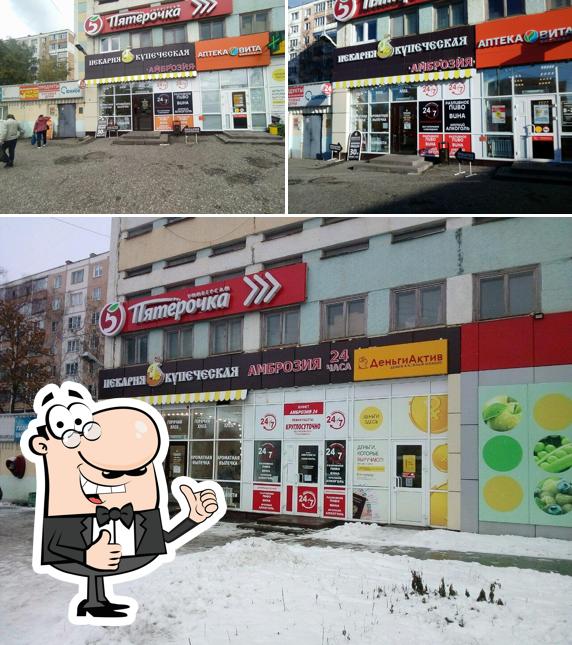 Амброзия