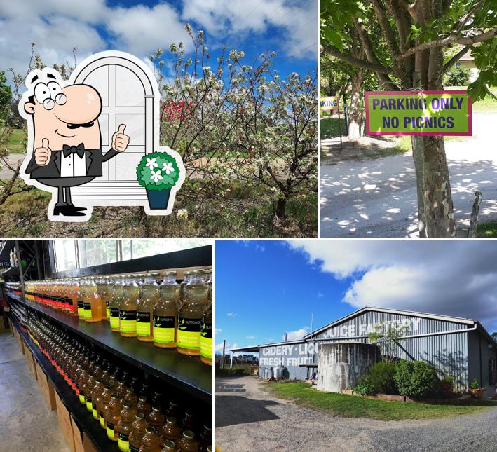 Suttons Juice Factory