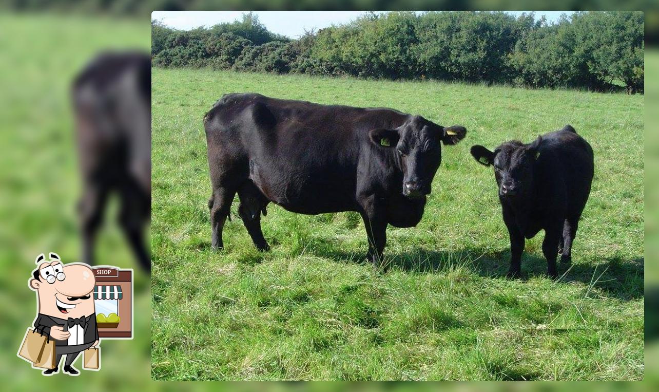 S & M Cattle Farm