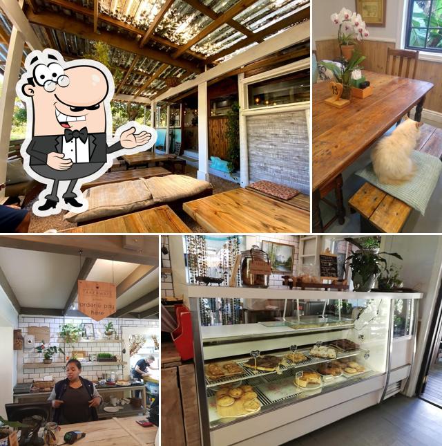 Naughty Monkey Cafe