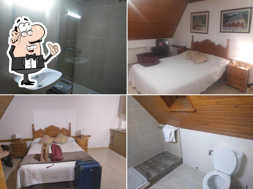Ostau Dera Nheu