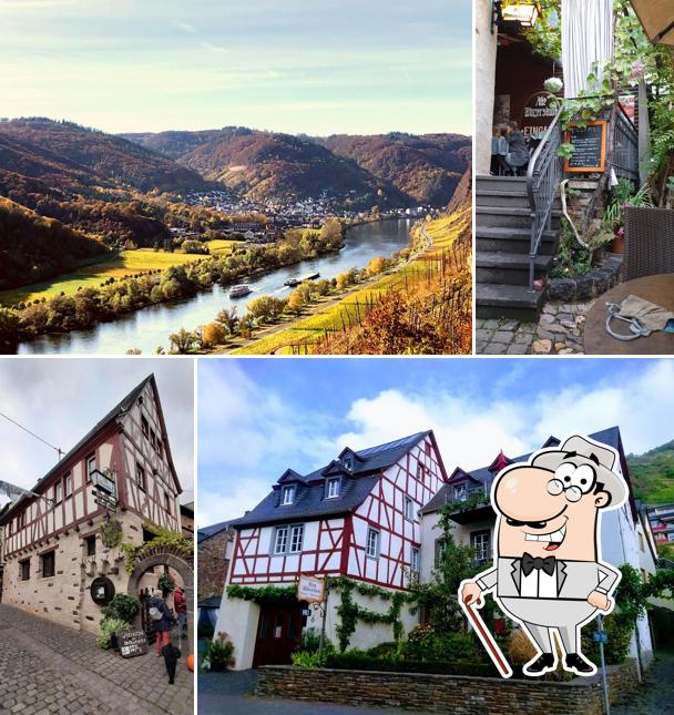 Ferienweingut - Weinlokal Rudi Steuer