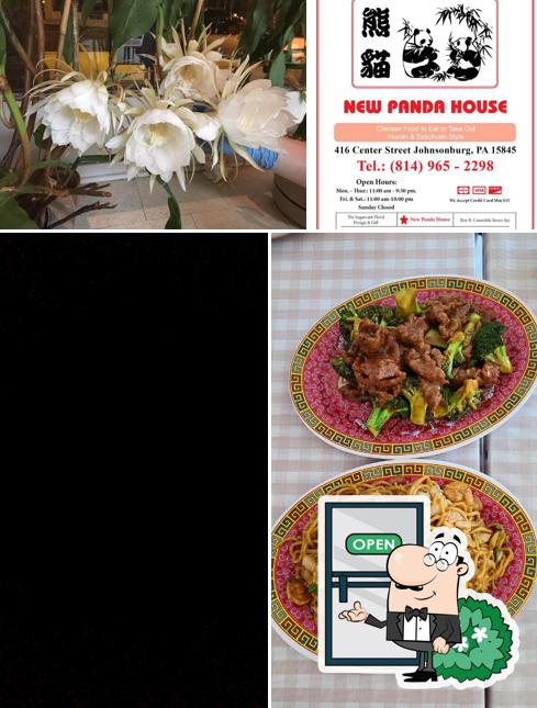 New Panda House