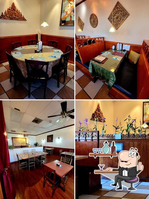 Orchids Thai