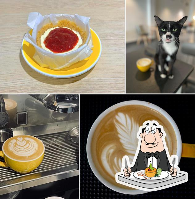 Black Duck Coffee