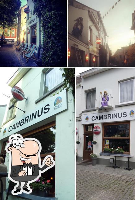 Cambrinus