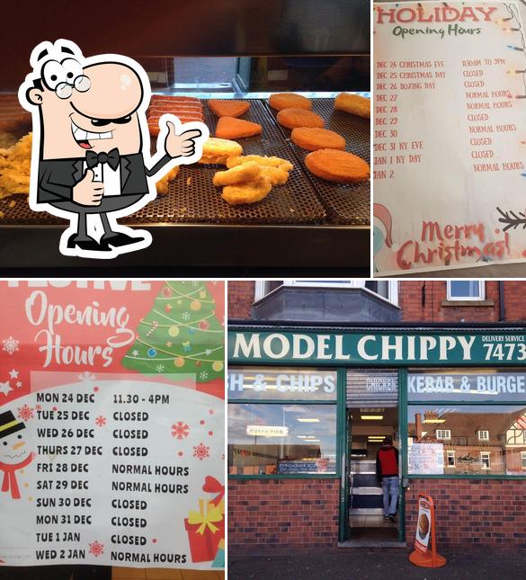 Model Chippy