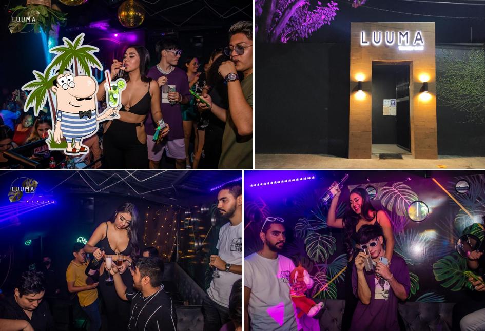 Luuma Trendy Bar