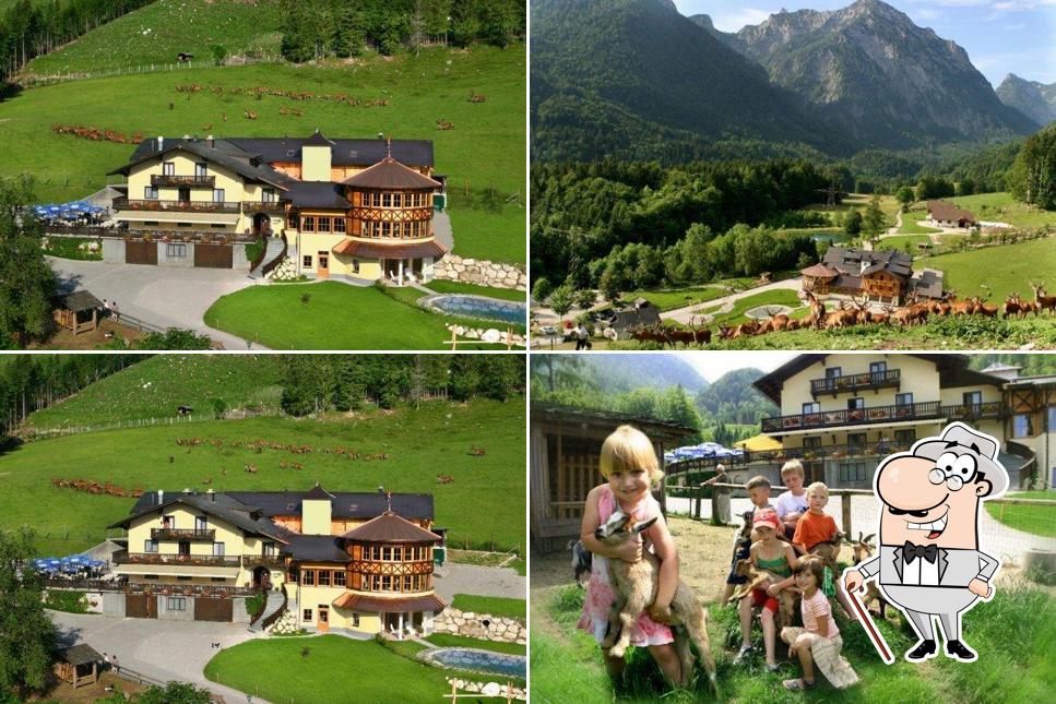 Restaurant Kleefeld