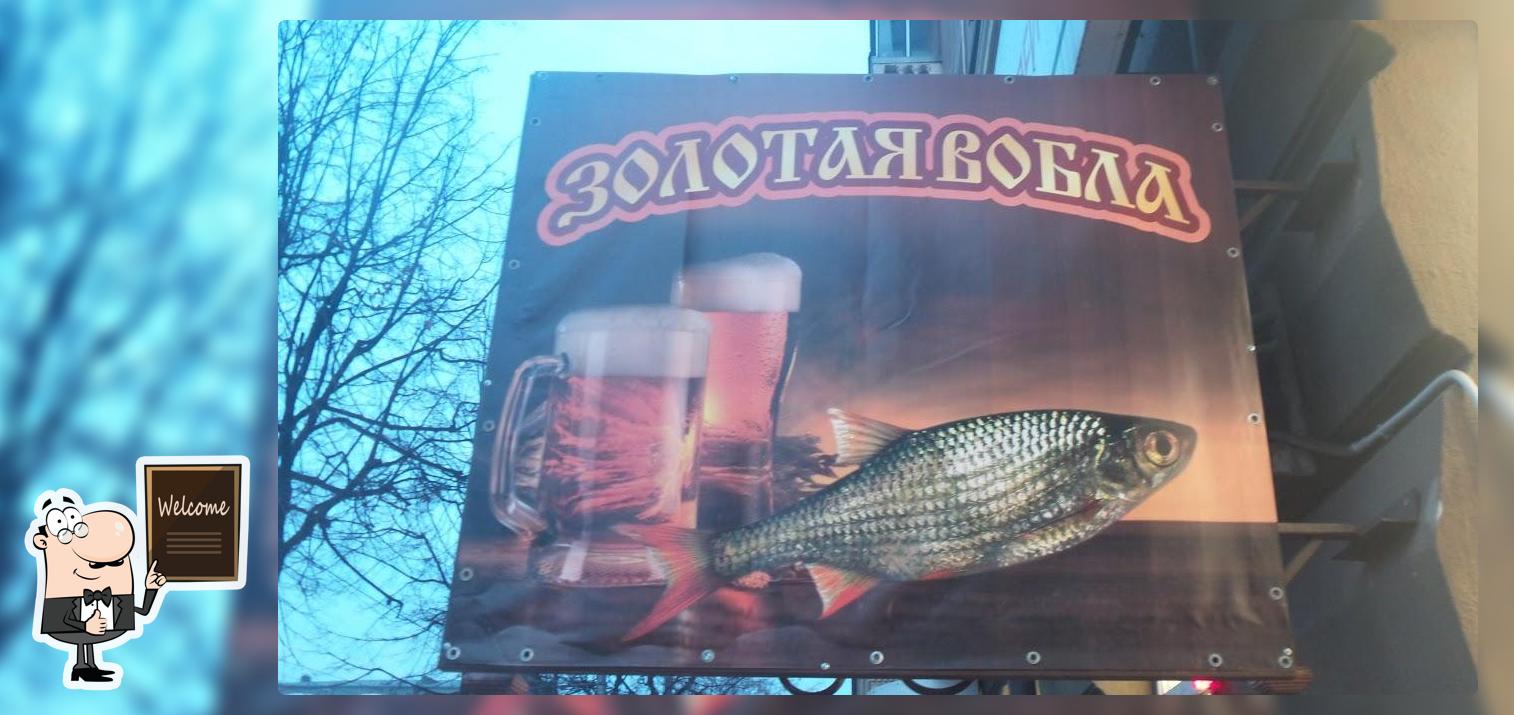 Золотая вобла