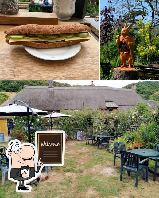 Kitnors Tea Garden
