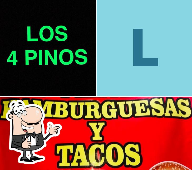 Los 4 PINOS