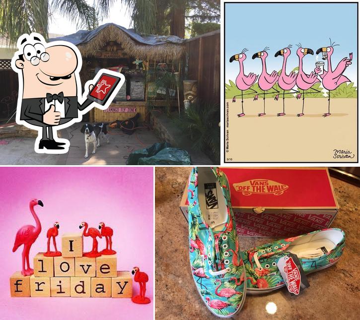 The Pink Flamingo Bar - California San Ramon CA