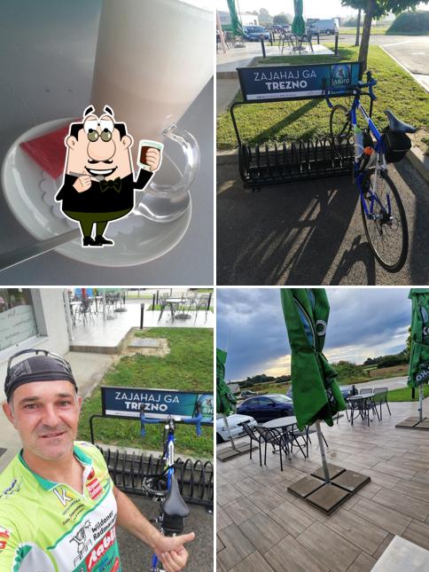 Bar žuta kuča